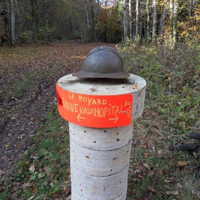 Bois du Pommeret