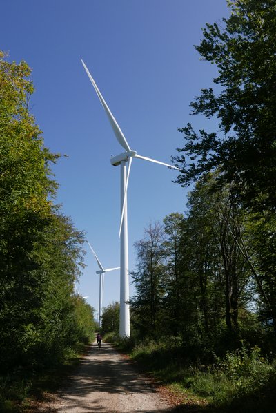 Éoliennes du Lomont