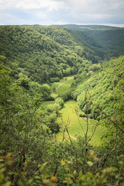 Le saut Chevalier
