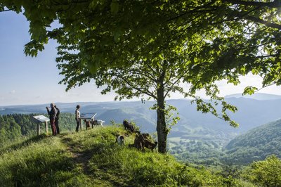 Belvédère de Montmahoux