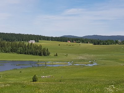 Ruisseau du lac des Mortes