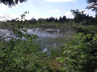 Tourbières du Lac de Malpas