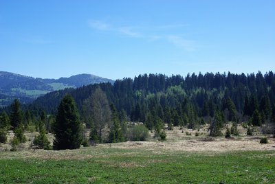Mouille de la Vraconnaz