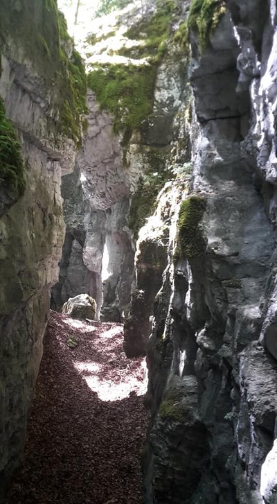 Creux de Hauteroche