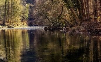 Les berges de l'Ognon