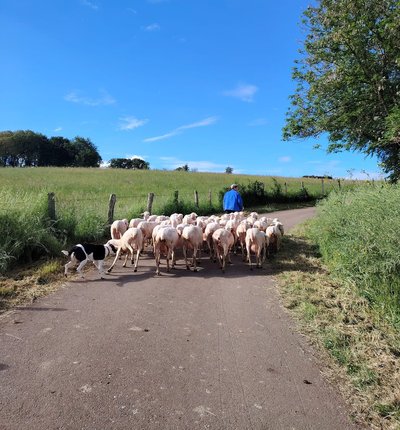 La Bergerie des hirondelles