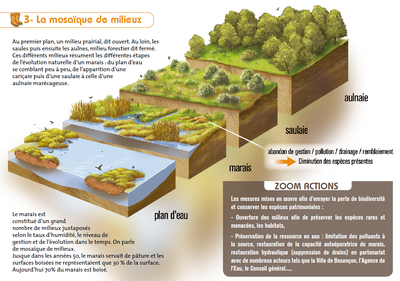 Une mosaïque de milieux