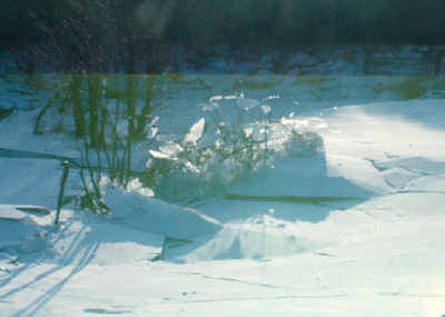 La Baignade en hiver