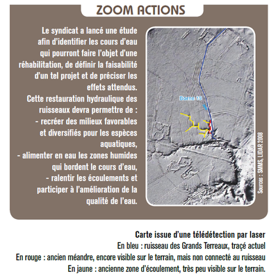 Zoom Actions