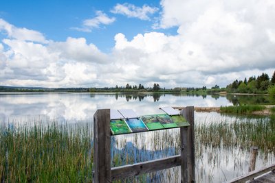 Pont des libellules Lac Bouverans