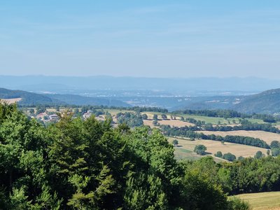 Les Vosges depuis Montaigu
