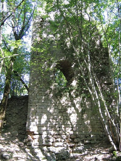Ruines du château de Vaîte