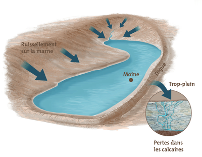 Fonctionnement hydrogéologique de l'étang