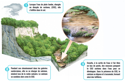 Formation du tuf