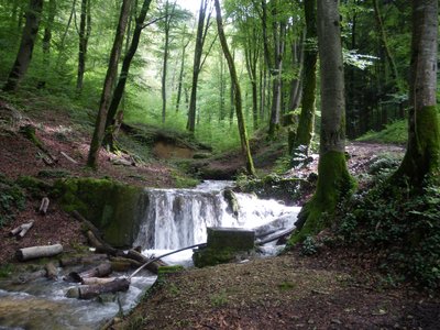 Ruisseau du Dard