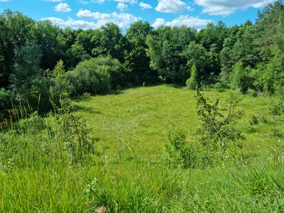 La pelouse marneuse