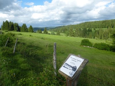 Combe de Chantegrue
