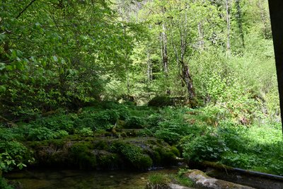 Source de la Rêverotte