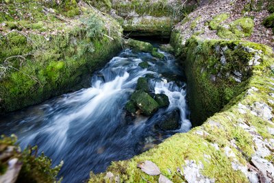 Source du Dessoubre