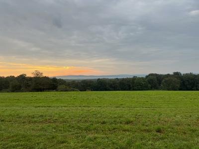Pâtis des Baudiches Courcuire