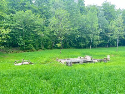 La prairie et ses fontaines