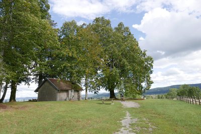 Chapelle des tilleuls