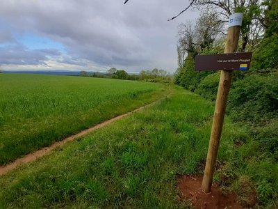 Vue sur le Mont Poupet
