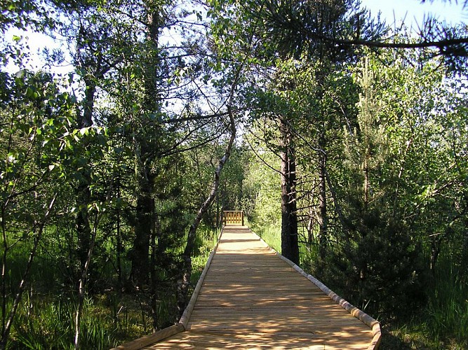 Tourbière des Creugnots, Étang du Moulin