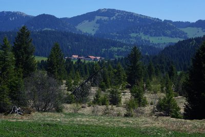 Sentier des Bornes - Tourbière de la Vraconnaz