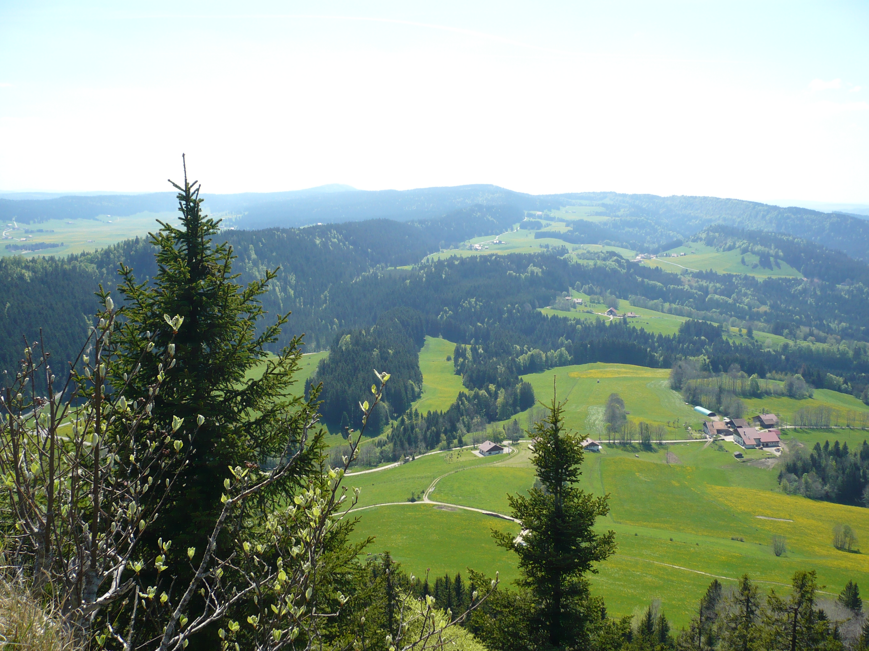 Panorama du Mont Châteleu