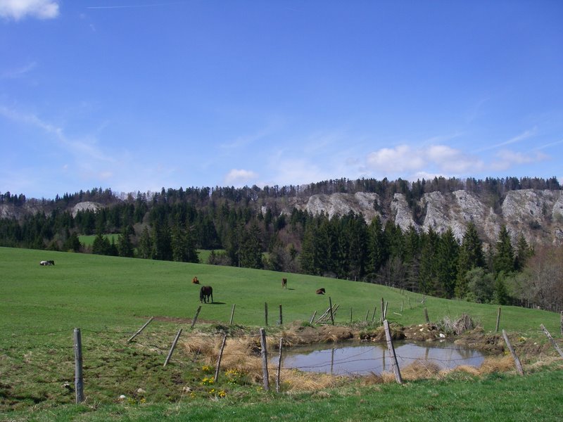 Vue sur les rochers du Cerf