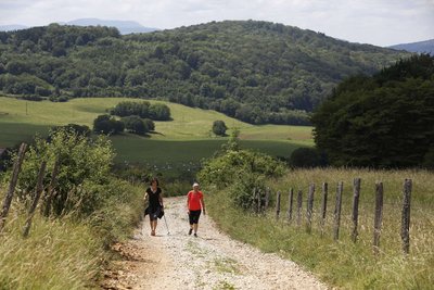 Prés et randonneurs