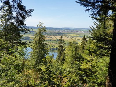 Panorama depuis la croix de la Bèche