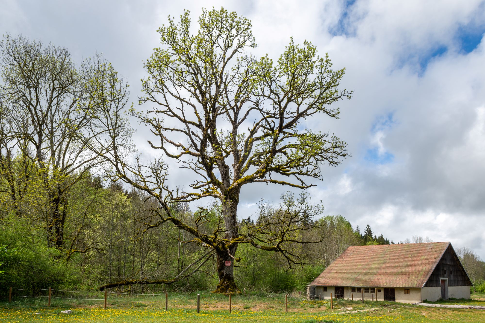 Ferme de Cessay