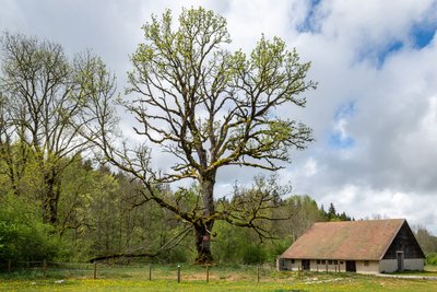 Ferme de Cessay