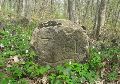 Borne du Bois Bourgeois