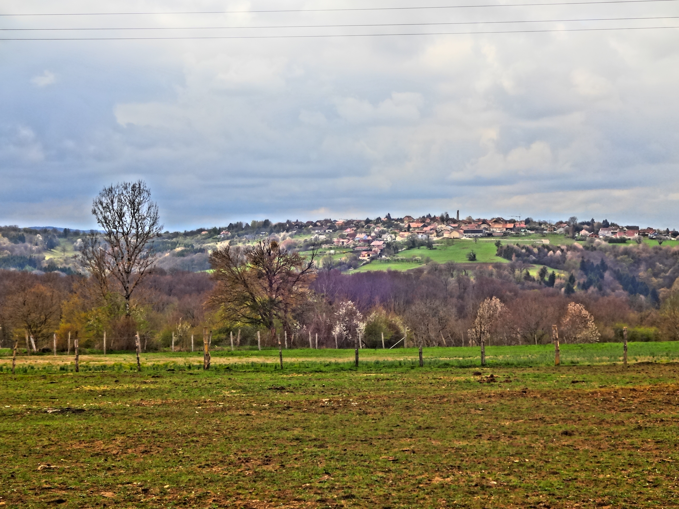 Plateau d'Écot