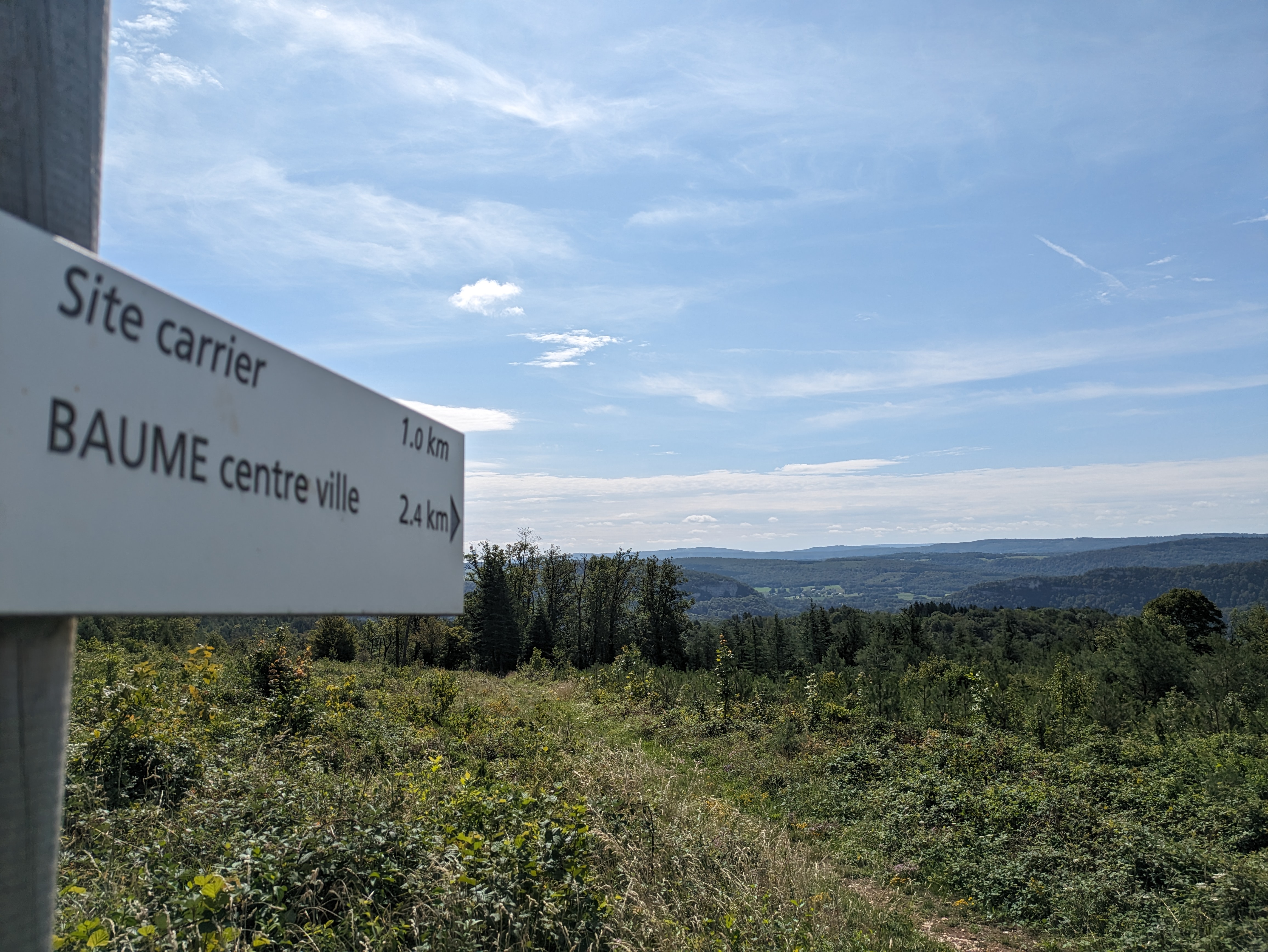 Site carrier