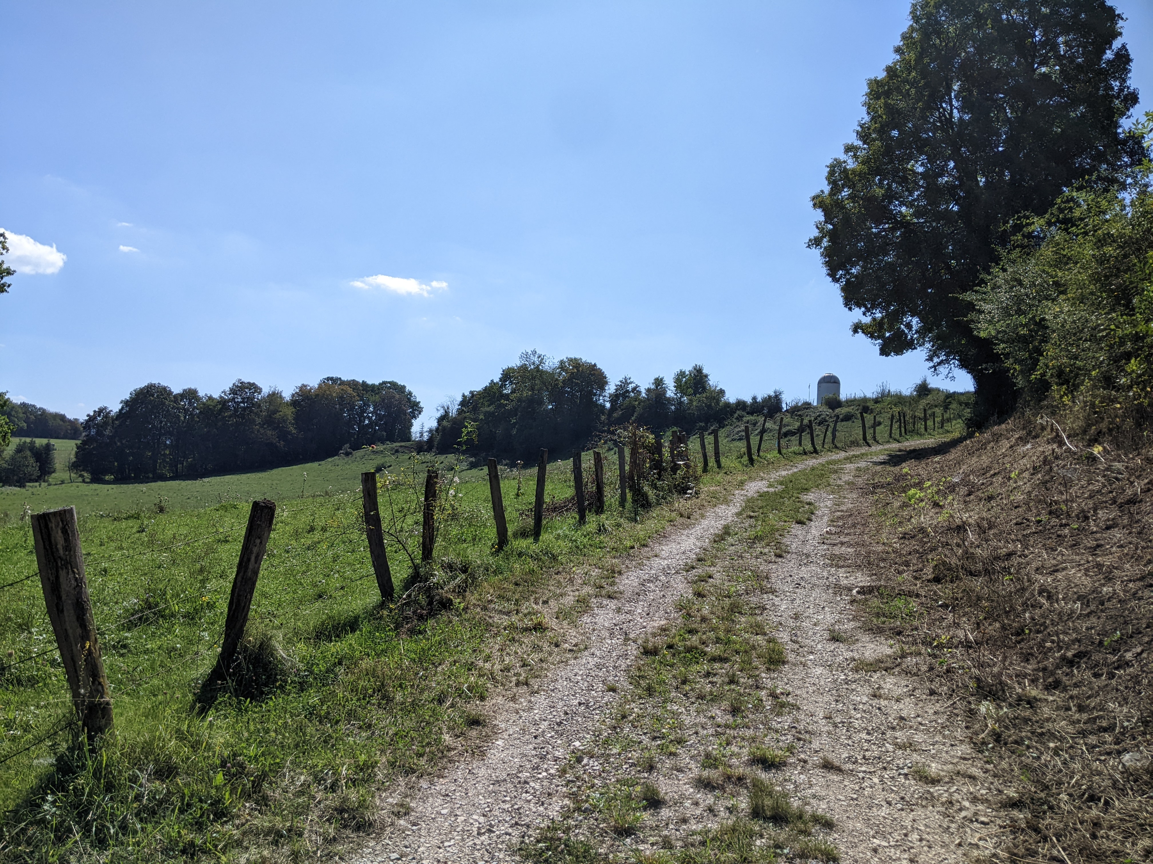 Chemin dans les pâtures