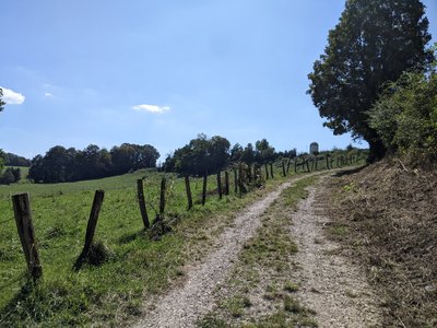 Chemin dans les pâtures