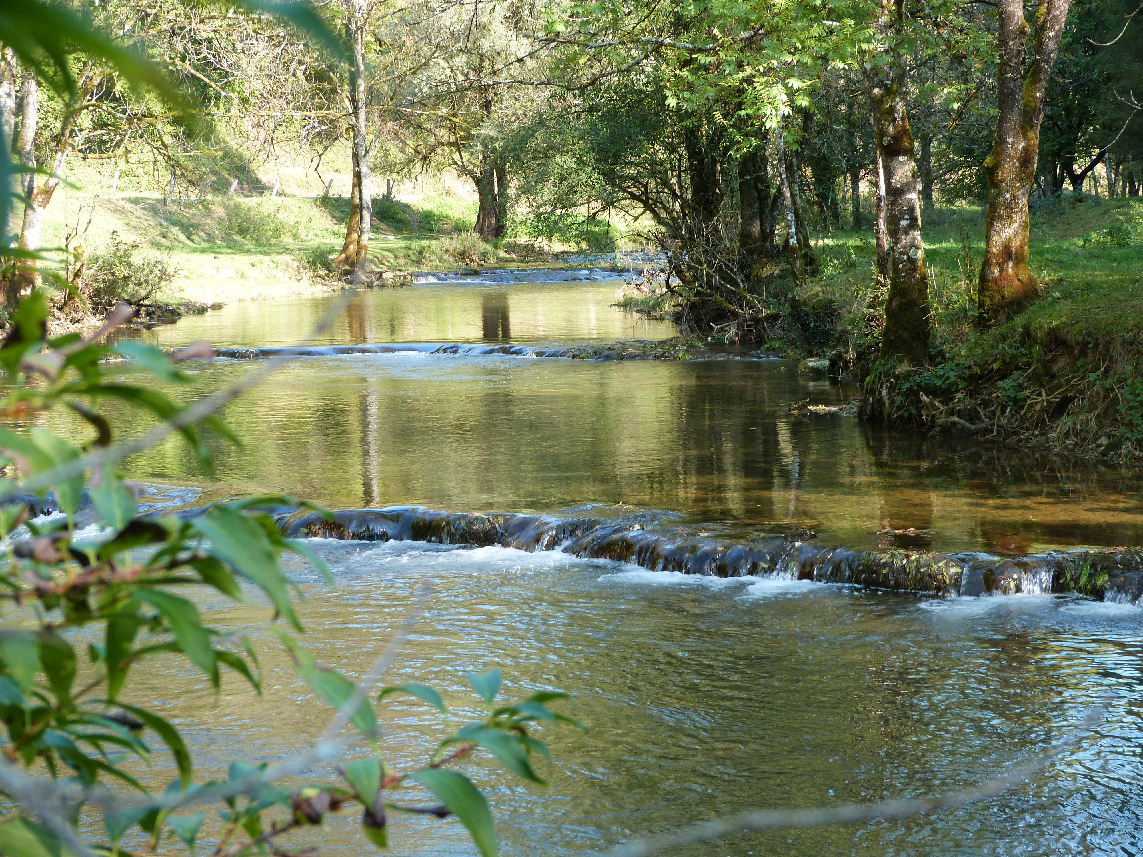 Bords du Cusancin