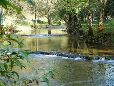 Bords du Cusancin