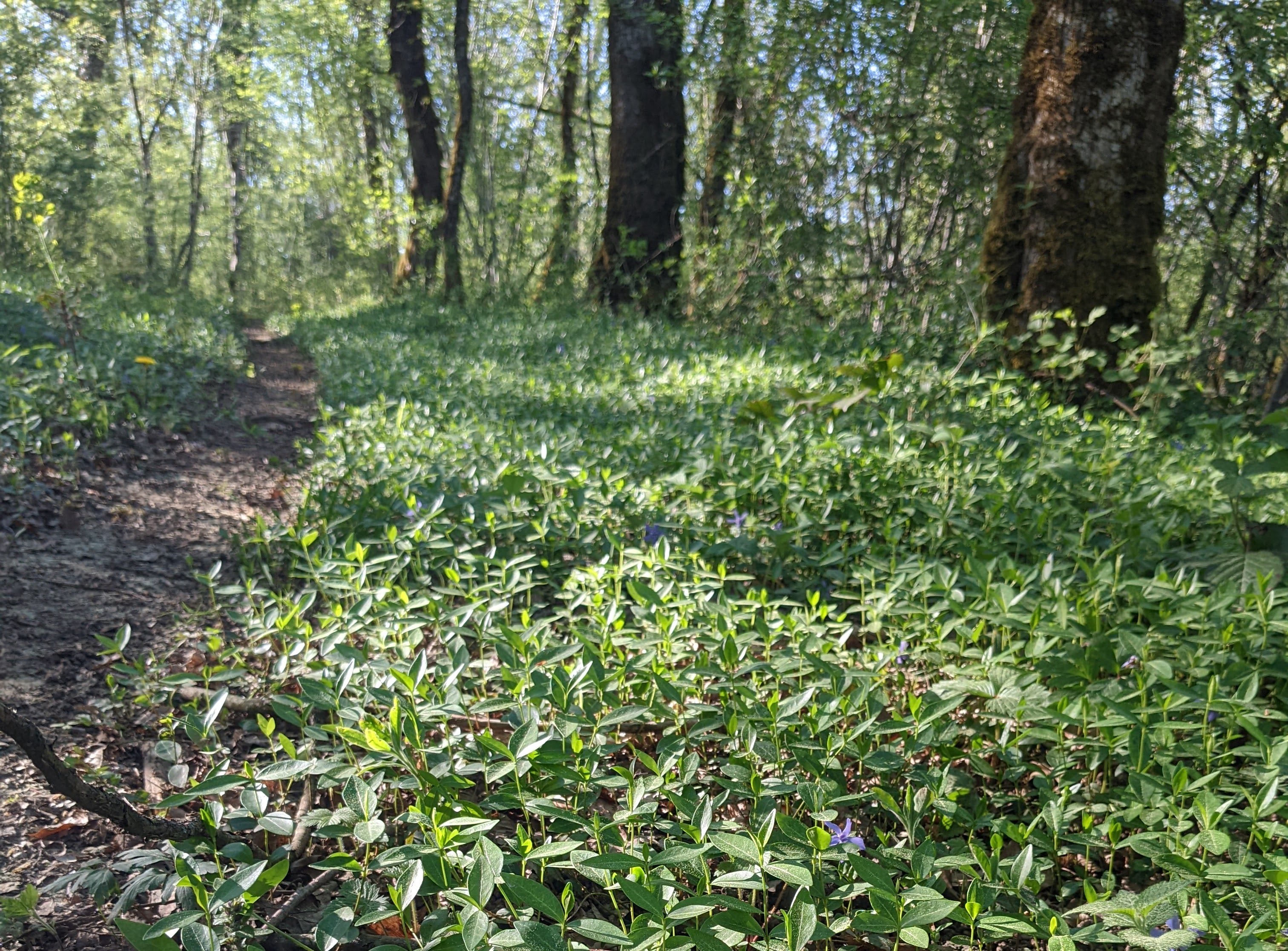 Sentier des dolines