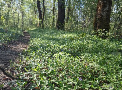 Sentier des dolines