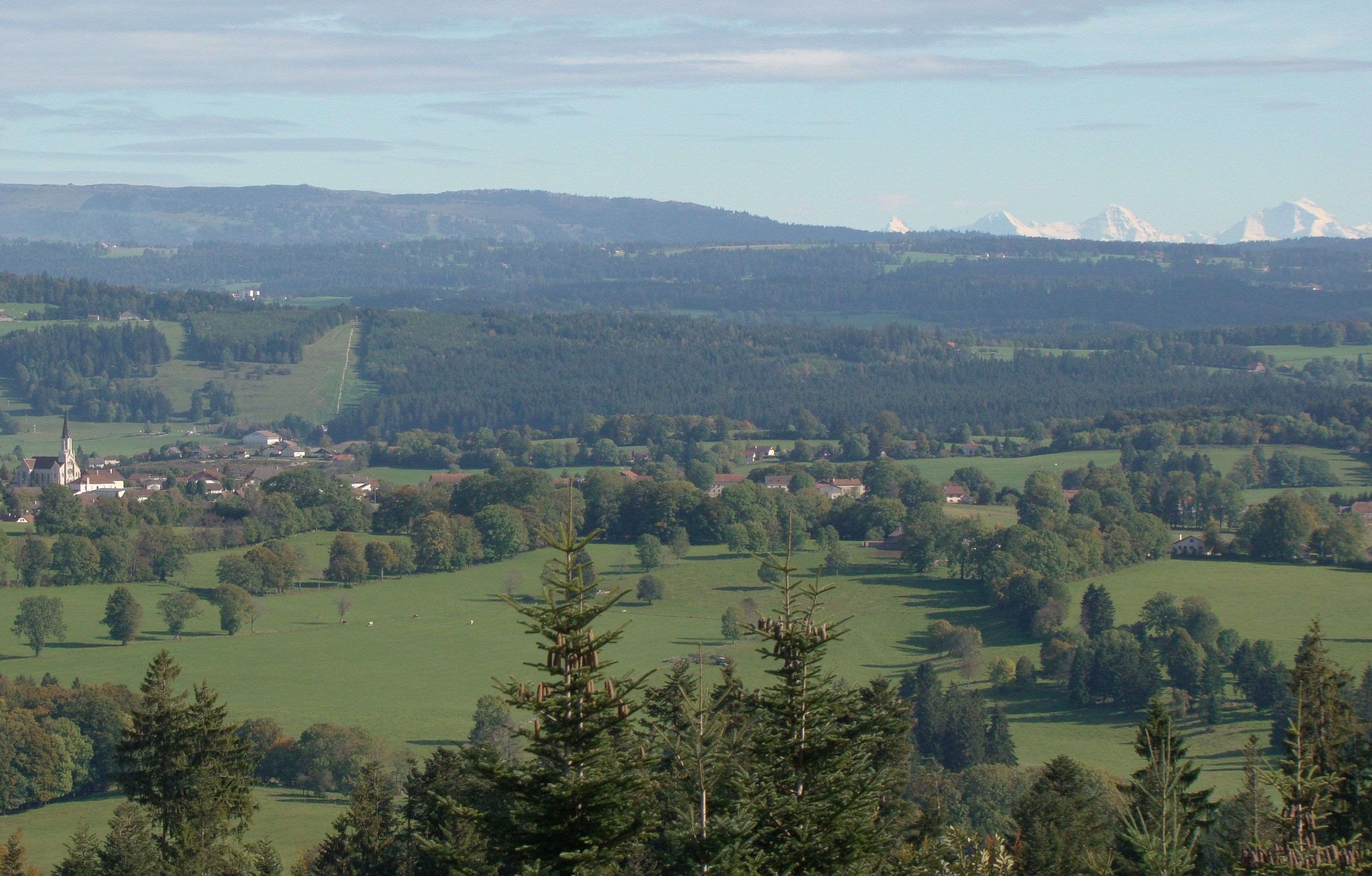 Point de vue du Faux Verger
