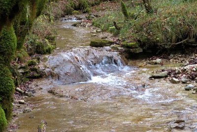 Montgesoye, ruisseau de Cornebouche