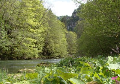 Le Doubs au niveau de Goumois
