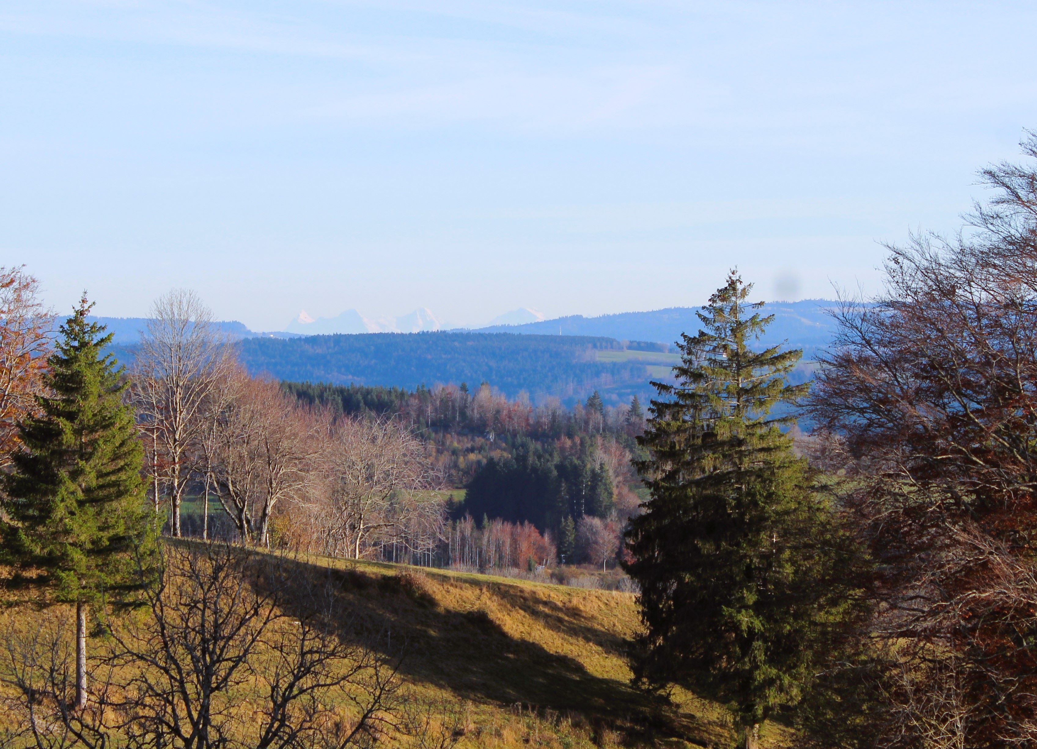 Les Alpes Bernoises depuis Bonnétage