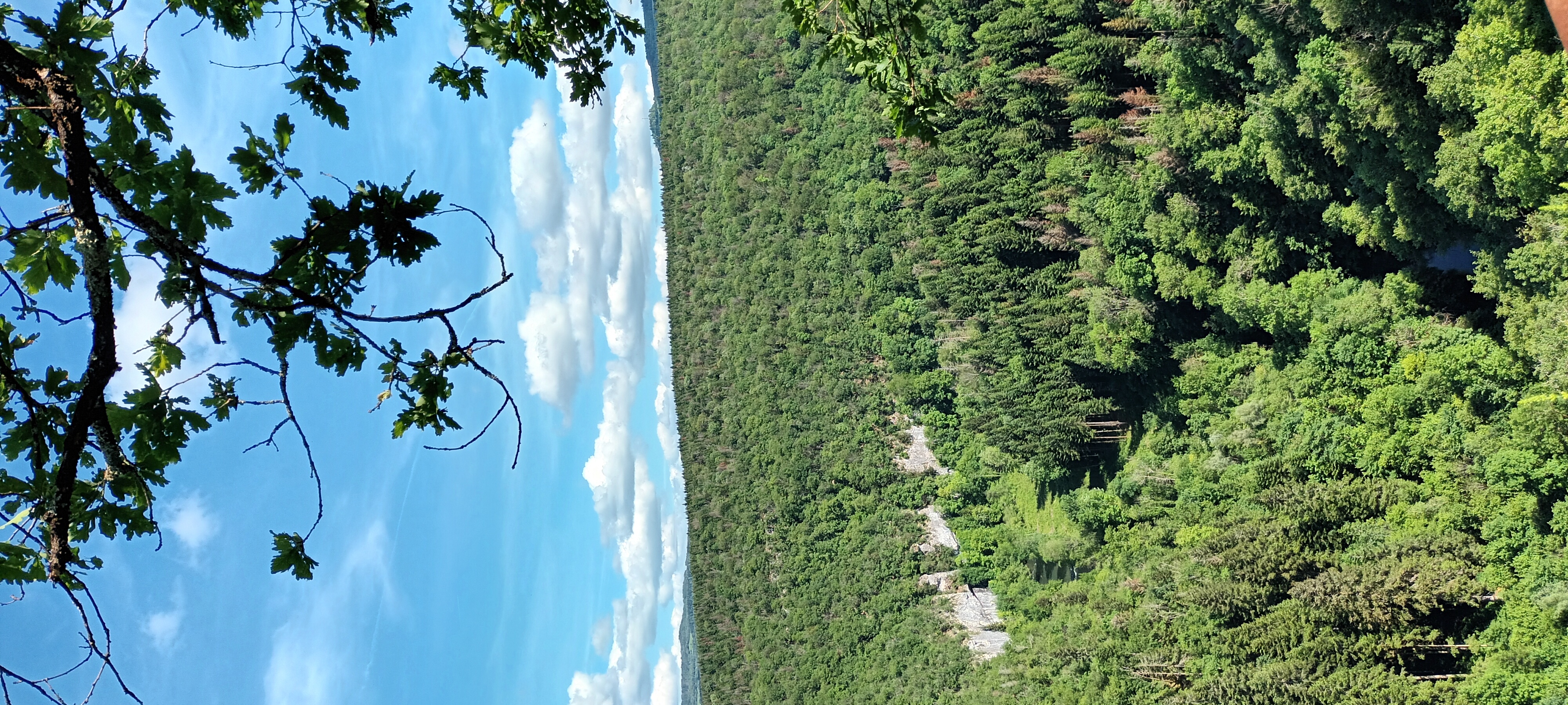 Alaise, la Gauloise
