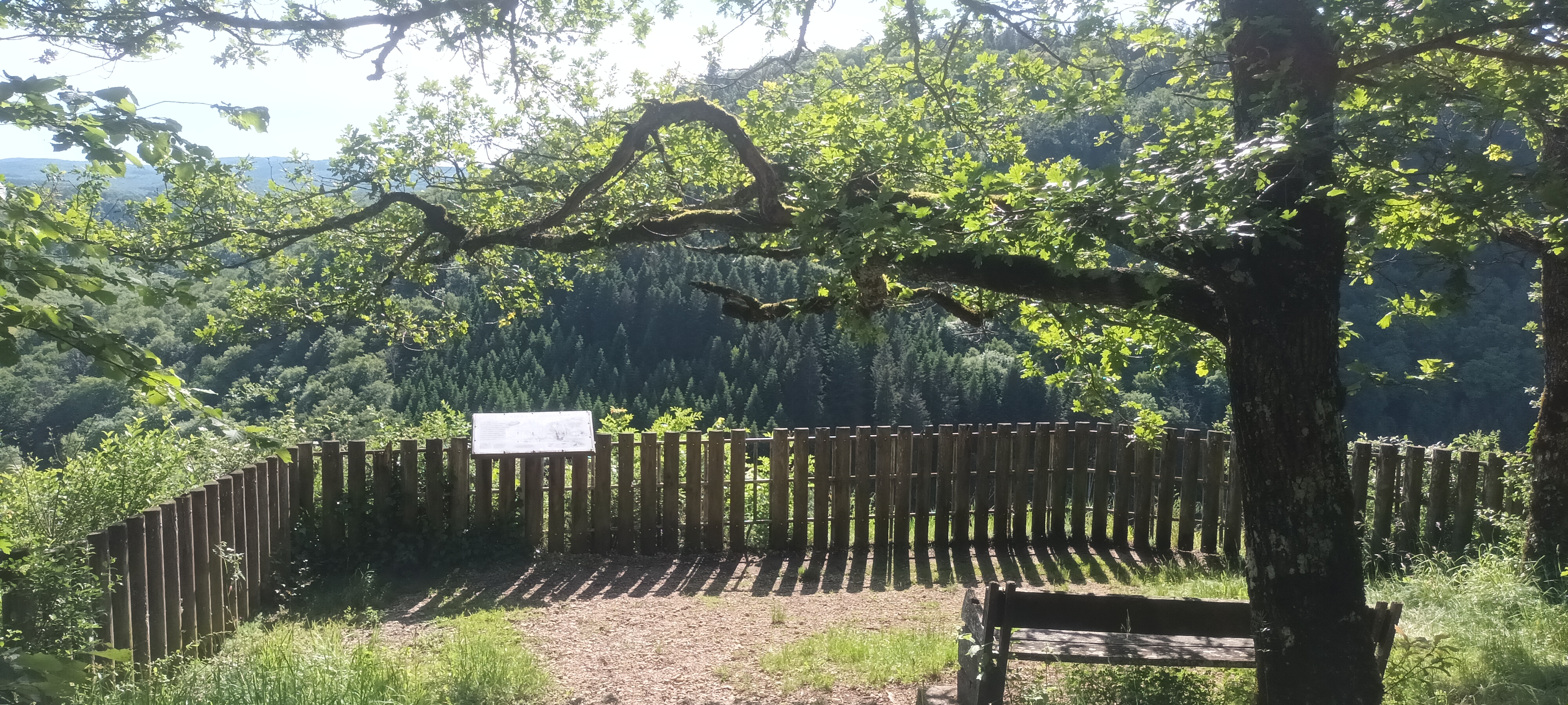 Lizine, belvédère du Moulin Sapin